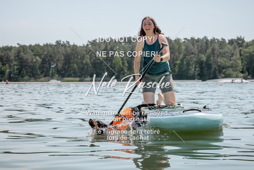 nelerasche_saSUP1_283 | nelerasche
