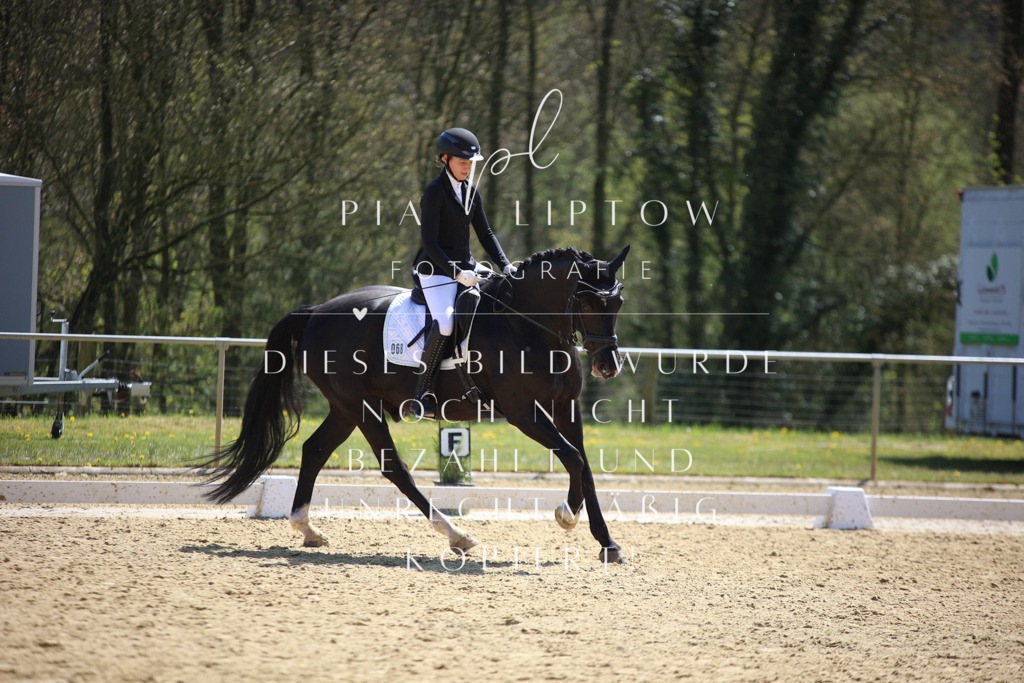 IMGT2672 | pl-fotografie