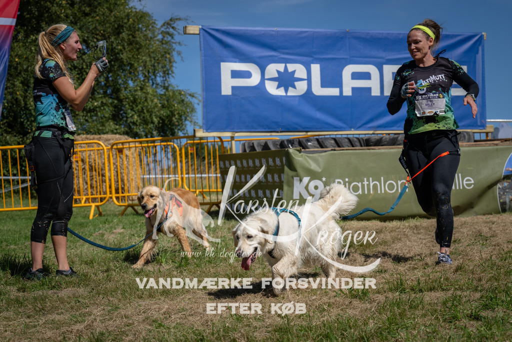 1239_ZZ96088 | kk-dogfotos