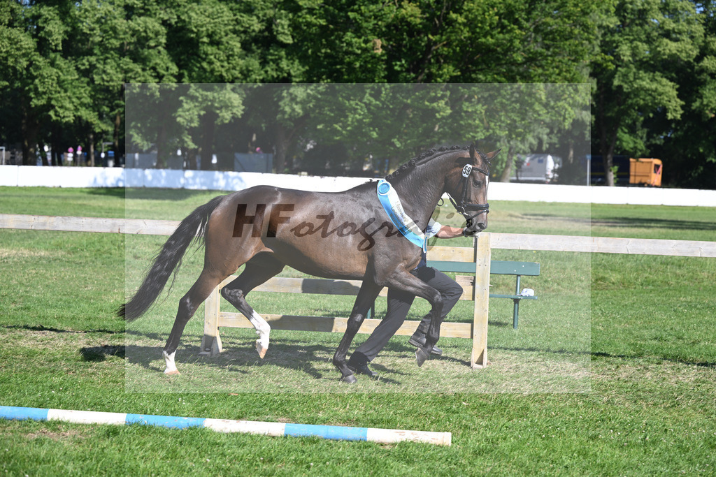 Kat-Nr. 59 Aurora v. Danone I_HLG Schwaiganger_19251402 | hf-fotografie - Realizzato con Pictrs.com