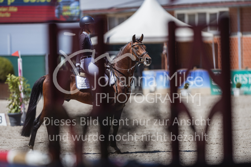 230610_Mühlen_Quali5j-908 | Deine schönsten Turniermomente als professionelle Fotos! Entdecke hochwertige Pferdesport-Fotografie im Online-Shop. Jetzt Fotos finden & bestellen!