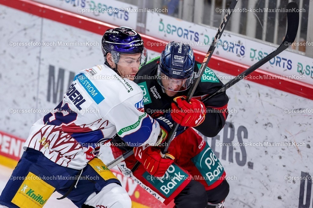 DEG12012501026 | 12.01.2025, Eishockey, Penny DEL, Düsseldorfer EG - Eisbären Berlin, PSD-BANK Dome: Leo Pföderl (Eisbären Berlin #93) im Zweikampf gegen Tyler Gaudet (DEG #93)