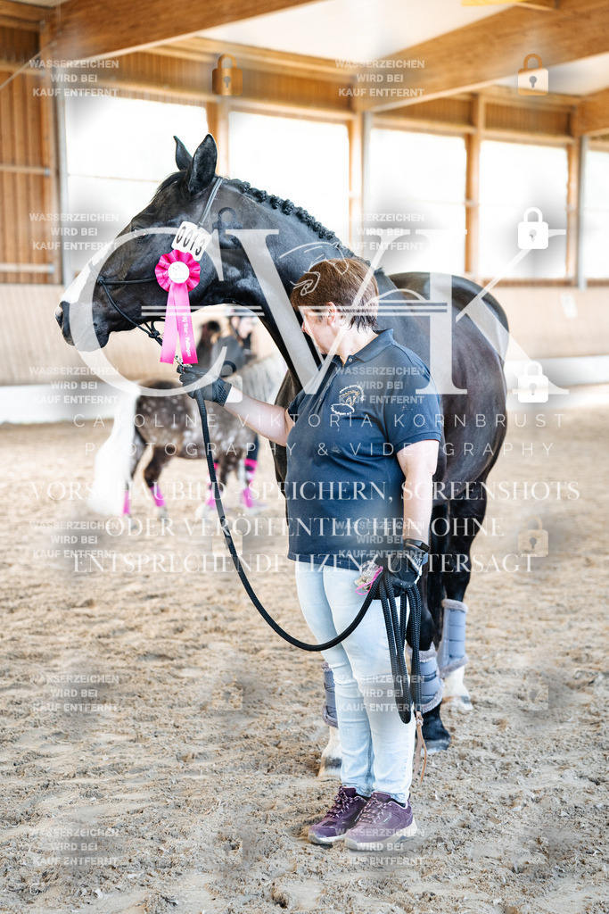 CK703201 | Turnierfotografie Pferdefotografie Trier Rheinland-Pfalz Pferdesport Reitsport Tierfotografie Sportfotografie Pferdevideo Pferdevideografie Equestrianvideography equestrianphotography  - Realisiert mit Pictrs.com