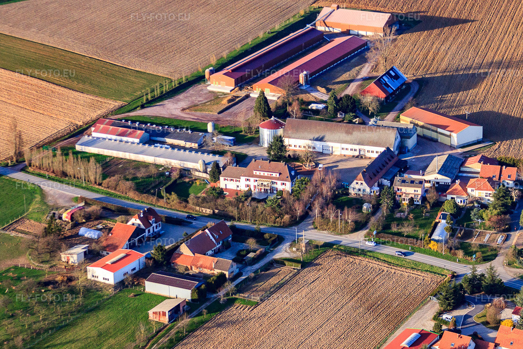 Vue aérienne: District de Schafbusch à Steinseltz dans le département Bas Rhin, France – .Photo: IMG_38782.jpg prise le 20/03/2011 par Werner Riehm/FLY-FOTO.eu – Résolution de l'original: 4210 x 2807 px