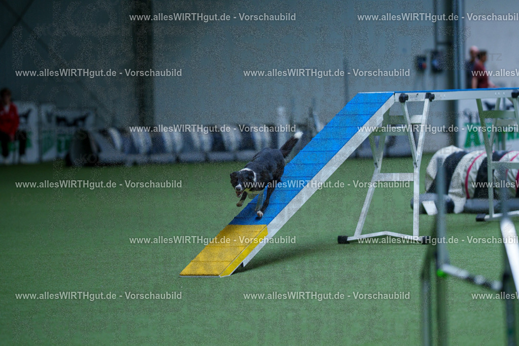 @allesWIRTHgut_Tierfotografie - www.allesWIRTHgut.de - 2604261135-7R509879 | Professionelle Tierfotografie in Mönchengladbach von Daniel Wirth (allesWIRTHgut). Liebevolle & natürliche Bilder von Hunden & Katzen für unvergessliche Erinnerungen.