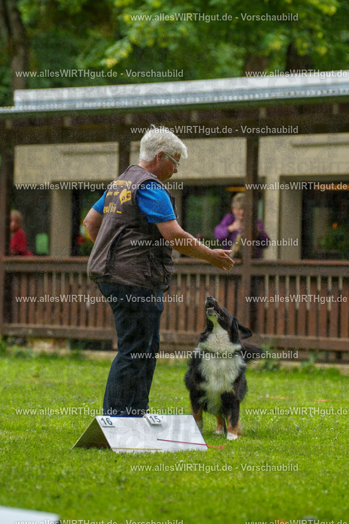@allesWIRTHgut_Tierfotografie - www.allesWIRTHgut.de - 091457-7R506803 | Professionelle Tierfotografie in Mönchengladbach von Daniel Wirth (allesWIRTHgut). Liebevolle & natürliche Bilder von Hunden & Katzen für unvergessliche Erinnerungen.