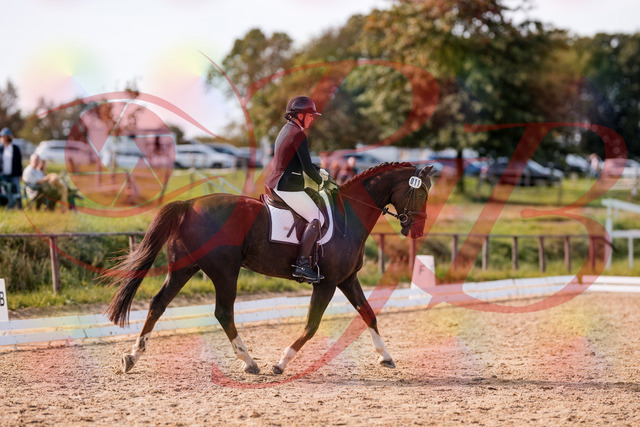 2026_10_03_Siefer-Hof_132535_Z81_76779818 | Professionelle Reitsport-, Turnier- und Eventfotografie von Robert Broda. Galerien mit ausgewählten und bearbeiteten Bildern direkt online ansehen und bestellen.