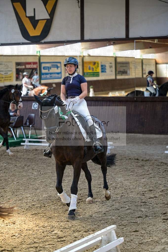 Reitturnier Voxtrup | Entdecke hochwertige Reitturnierfotos von Foto Oger. Professionell, emotional und authentisch – jetzt Lieblingsmomente im Shop bestellen.Deutschlandweite Turnierfotografie. - Realized with Pictrs.com