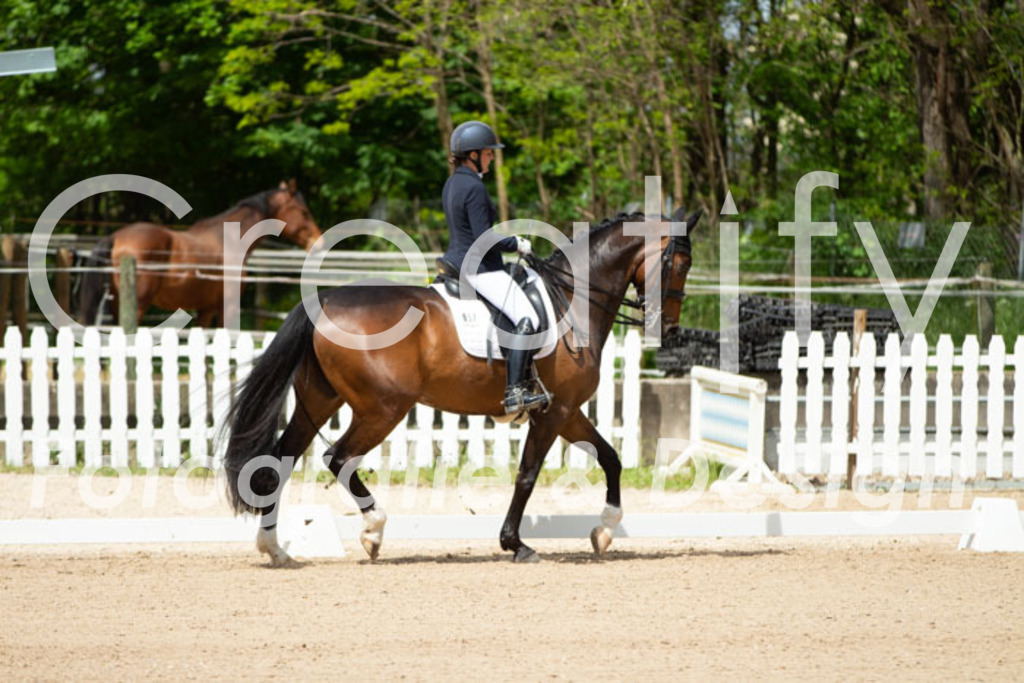 IMG_5934 | Creatify Fotografie