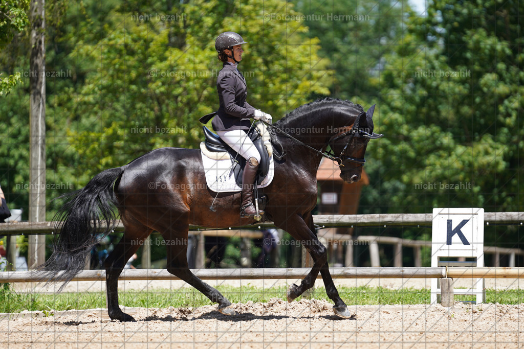20240705-FAH03692 | Turnierbilder von Grafing, Reitsportbilder, Turnierfotos, Turnierfotografen Bayern, Pferdefotograf, Fotoagentur Herrmann
