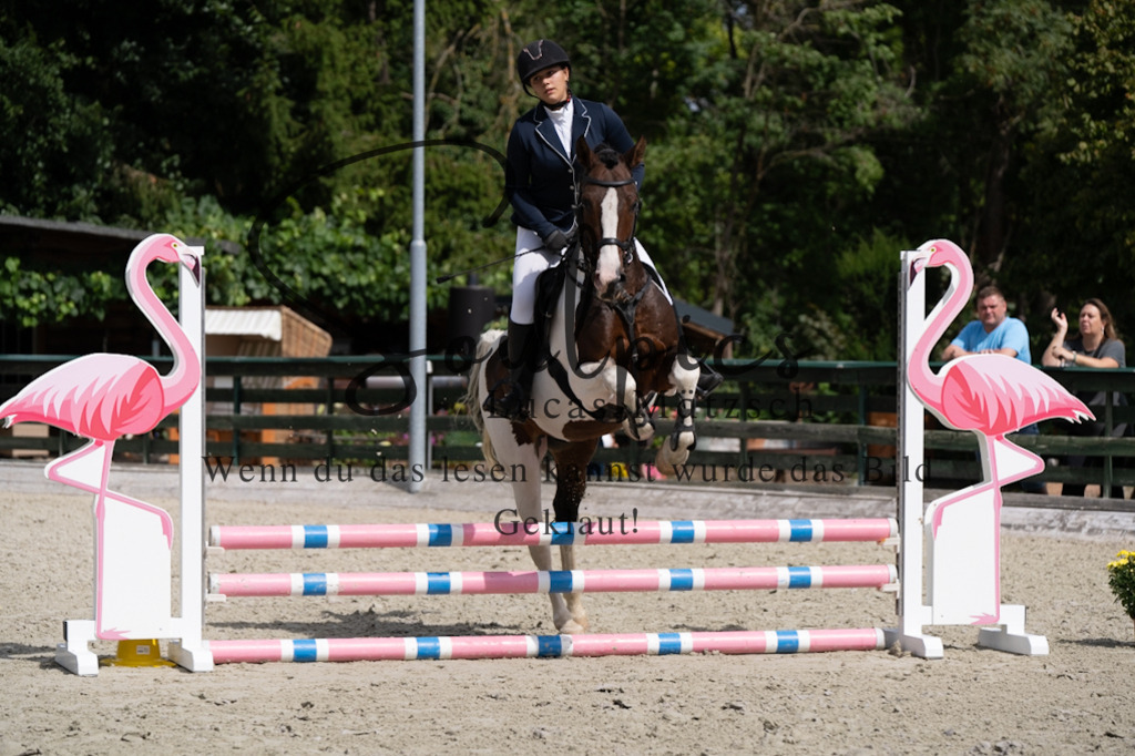 A7V07237 | Pferdefotograf