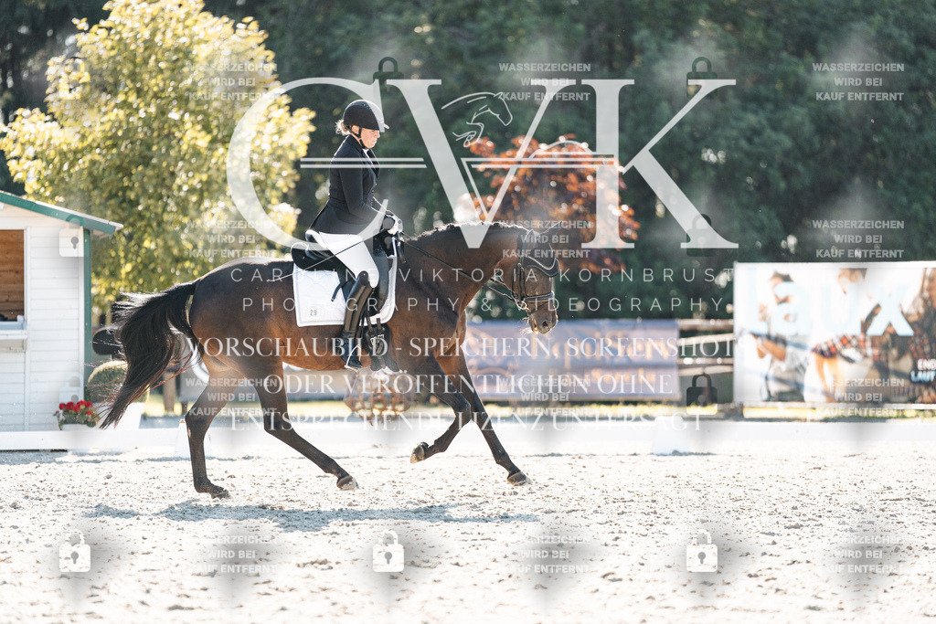 CK906406 | Turnierfotografie Pferdefotografie Trier Rheinland-Pfalz Pferdesport Reitsport Tierfotografie Sportfotografie Pferdevideo Pferdevideografie Equestrianvideography equestrianphotography  - Realisiert mit Pictrs.com