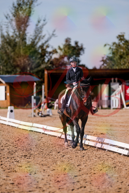 2026_10_03_Siefer-Hof_133811_Z81_94781619 | Professionelle Reitsport-, Turnier- und Eventfotografie von Robert Broda. Galerien mit ausgewählten und bearbeiteten Bildern direkt online ansehen und bestellen.