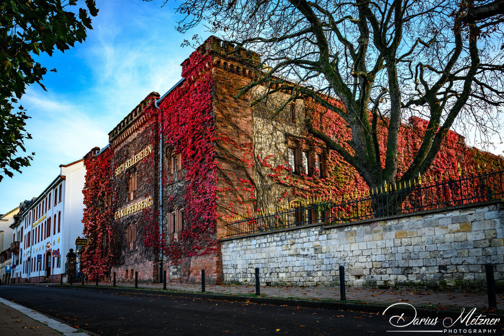 Die Kupferbergterasse in Mainz | Die Kupferbergterasse in Mainz