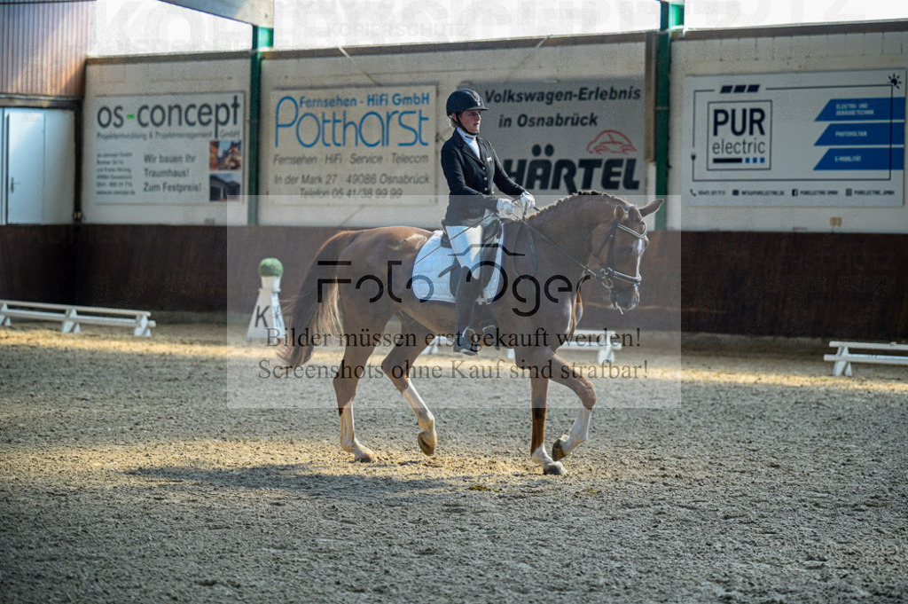 Reitturnier Voxtrup | Entdecke hochwertige Reitturnierfotos von Foto Oger. Professionell, emotional und authentisch – jetzt Lieblingsmomente im Shop bestellen.Deutschlandweite Turnierfotografie. - Realisiert mit Pictrs.com