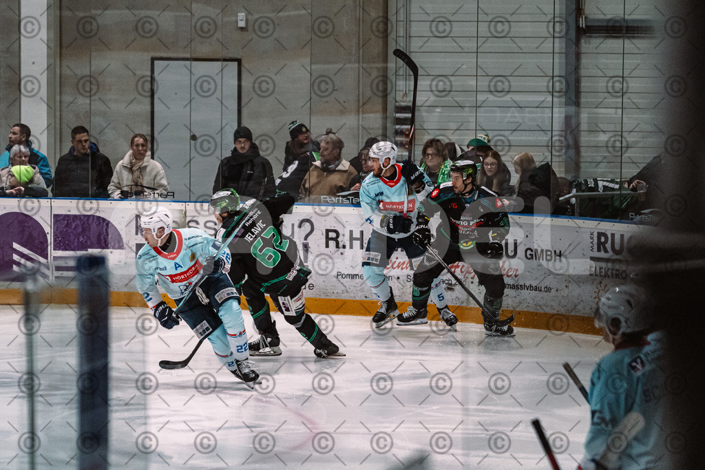 Alligators_vs_Heilbronn_08_02_2026-06 | Höchstadt Alligators Fotogalerie: Eishockey-Action aus Franken. Professionelle Spielfotos, Portraits & Stadionbilder zum Download. Jetzt entdecken! - Realized with Pictrs.com