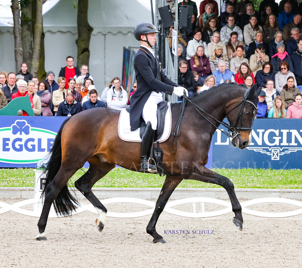1B3A8167 | Reitsport Reiten