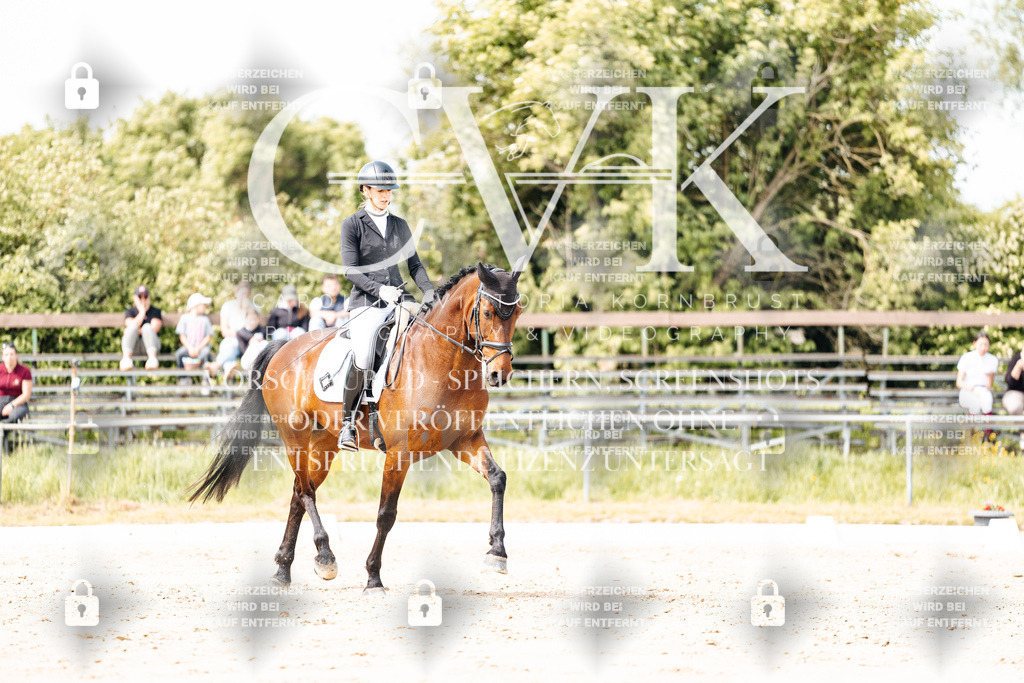 CK901496 | Turnierfotografie Pferdefotografie Trier Rheinland-Pfalz Pferdesport Reitsport Tierfotografie Sportfotografie Pferdevideo Pferdevideografie Equestrianvideography equestrianphotography  - Realisiert mit Pictrs.com