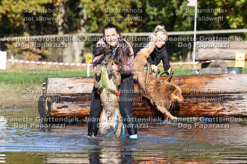 Dog Paparazzi - Strongdog 10-25-8942 | Dog Paparazzi Jeanette Grottendiek Fotografie & Videografie - Realisiert mit Pictrs.com