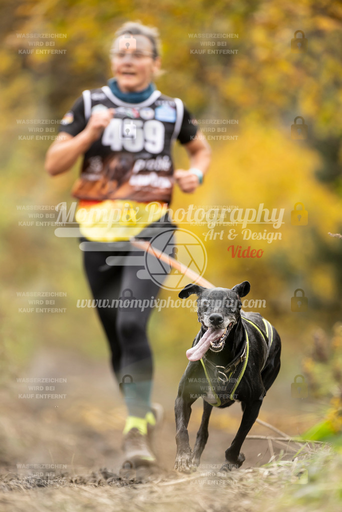 MompixPhotography_ICF_WC_2024_SA_Run_-472 | PayLife