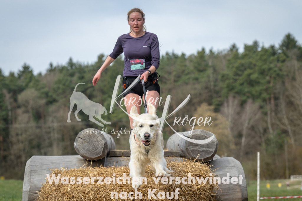 1117_ZZ96660 | kk-dogfotos
