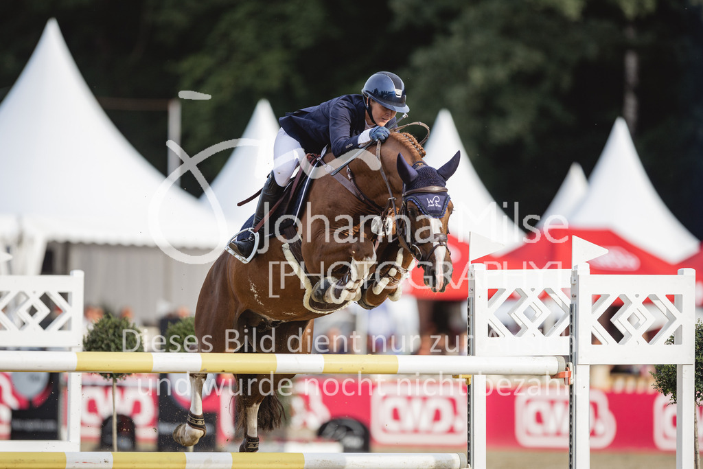 230903_HKM-BCH_Finale6j-147 | Deine schönsten Turniermomente als professionelle Fotos! Entdecke hochwertige Pferdesport-Fotografie im Online-Shop. Jetzt Fotos finden & bestellen!