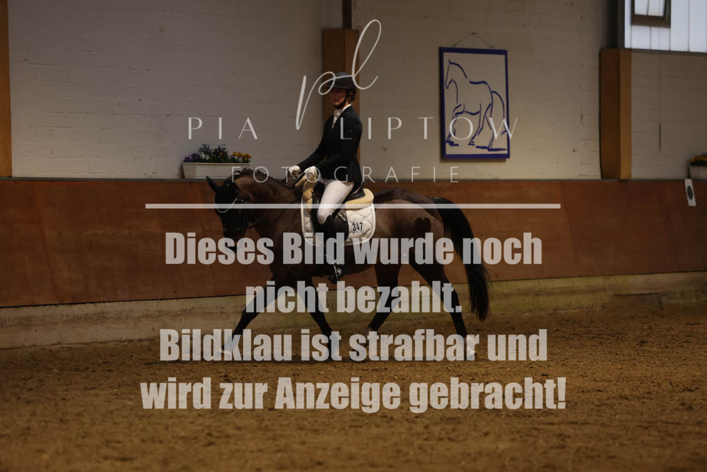 IMGM0503 | pl-fotografie