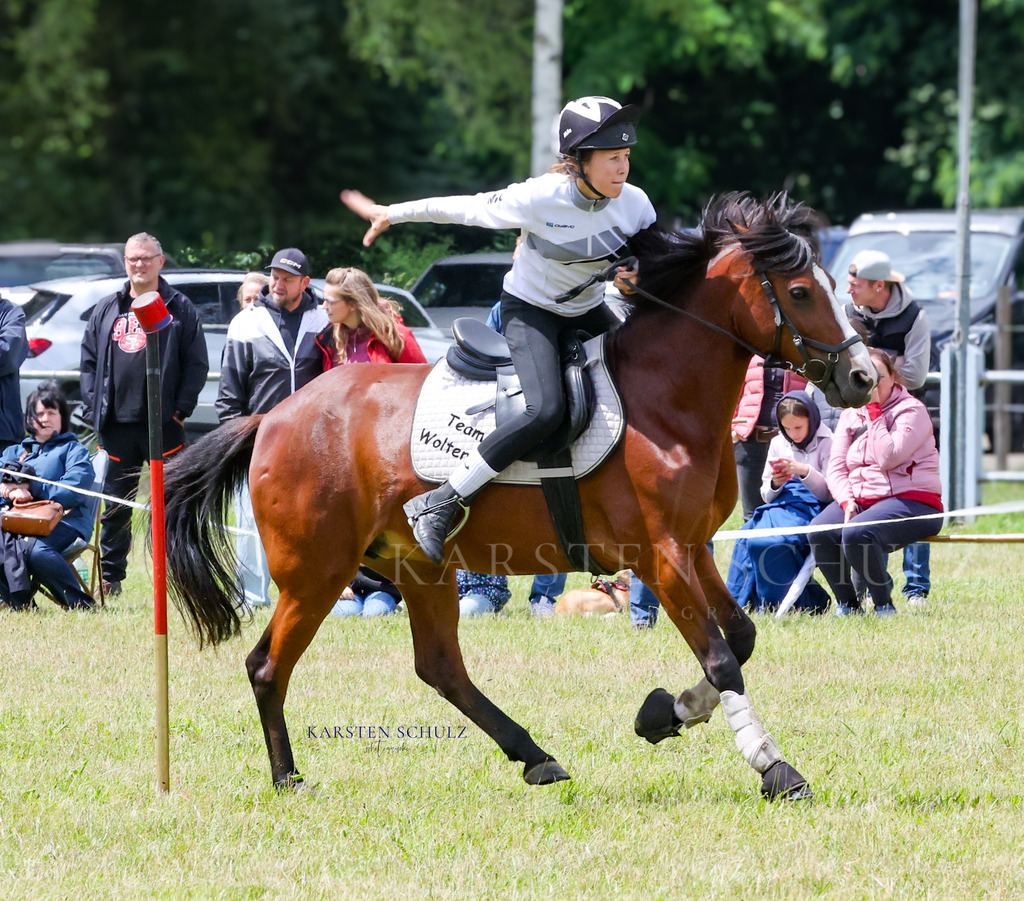 1B3A1185 | Reitsport Reiten