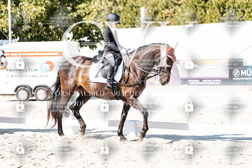 CK902947 | Turnierfotografie Pferdefotografie Trier Rheinland-Pfalz Pferdesport Reitsport Tierfotografie Sportfotografie Pferdevideo Pferdevideografie Equestrianvideography equestrianphotography  - Realisiert mit Pictrs.com