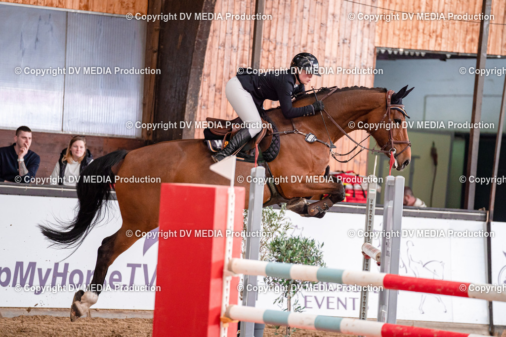 Kranichstein II Tag 3-411 | dv-media-shop - Realisiert mit Pictrs.com