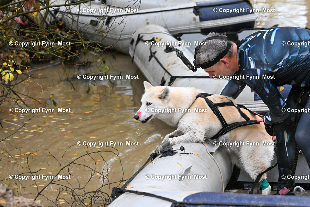 DSC_6815 | Hallo und herzlich Willkommen auf meiner Shop-Seite Fynn Most.

Ich wünsche Dir viel Spaß beim stöbern durch die Bilder, wenn Du Fragen hast oder Bilder vermisst, kannst du mir gerne eine Nachricht schreiben. - Realisiert mit Pictrs.com