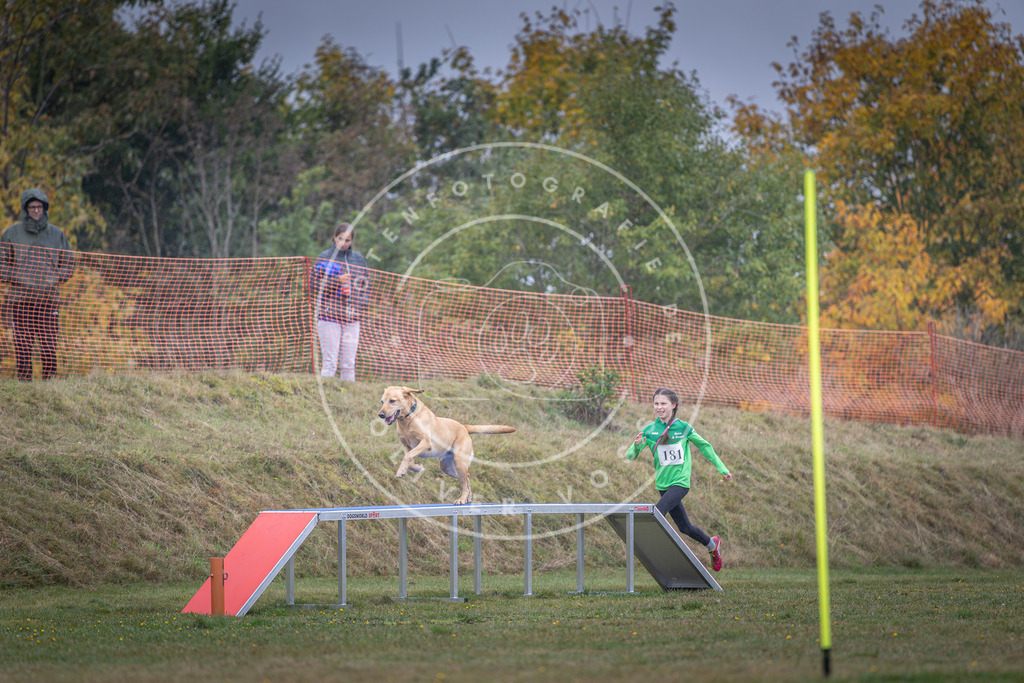 Pfotenfotografie_DV3A0311 | Hundefotografie, Tierfotograf, Pfotenfotografie, Fotoshooting Hund, Hunde Portrait, Hundesport, Hundeportraits, Heideshooting, Hunde, Sportfotograf, Hundefotograf, Turnierhundsport, THS,  - Realisiert mit Pictrs.com