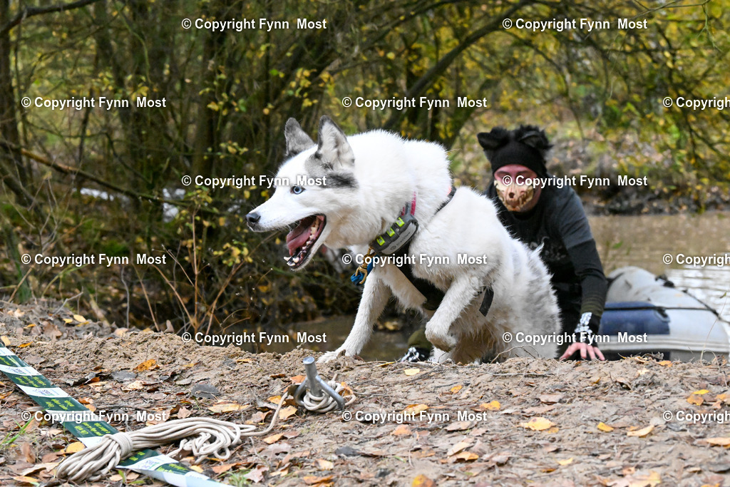 DSC_0148 | Hallo und herzlich Willkommen auf meiner Shop-Seite Fynn Most.

Ich wünsche Dir viel Spaß beim stöbern durch die Bilder, wenn Du Fragen hast oder Bilder vermisst, kannst du mir gerne eine Nachricht schreiben. - Realisiert mit Pictrs.com