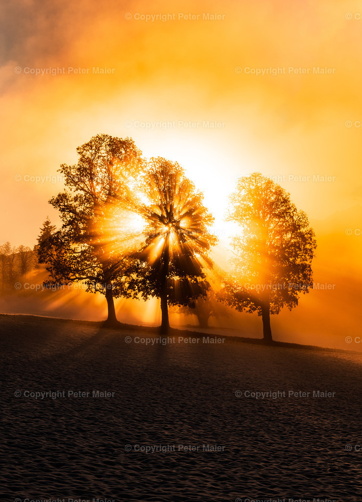Landschaft_Divers-12-Bearbeitet | piet_flosse