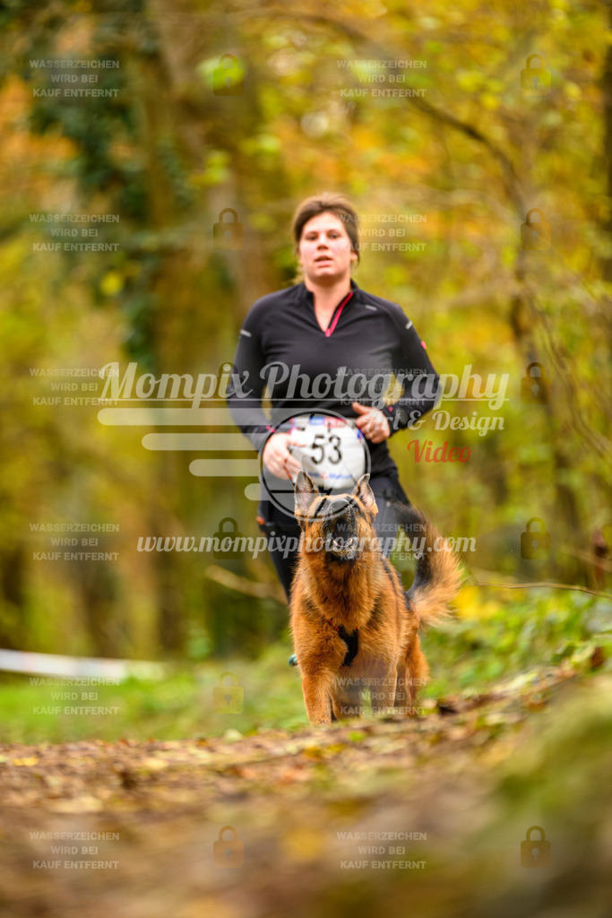 MompixPhotography_Bischwiller24_SA_Canicross-65 | PayLife