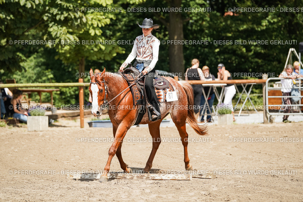 DSC07731 | Pferdegrafie