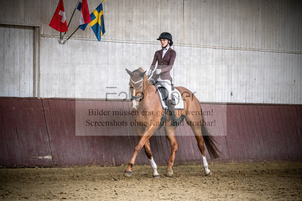 DOS_1689 | Reitturnier Lüdinghausen - Realisiert mit Pictrs.com