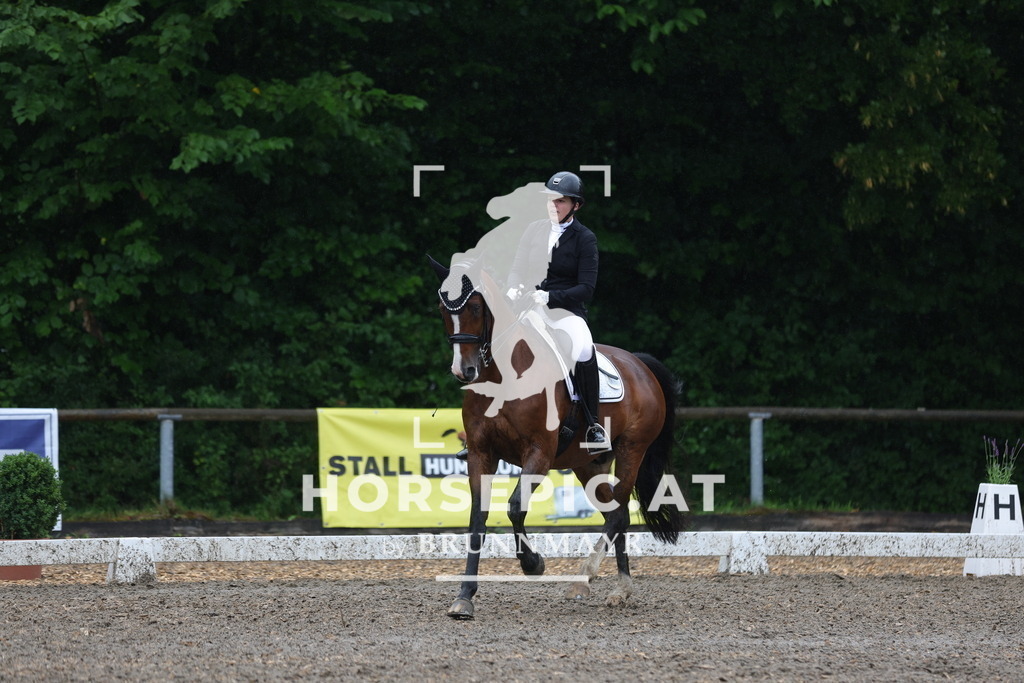 0P6A9146 | Willkommen bei Brunnmayr - Design & Fotografie – Ihrem Spezialisten für Reitturniere und Pferdeveranstaltungen in Oberösterreich, Salzburg und Bayern! Seit über 17 Jahren sind wir leidenschaftlich dabei.