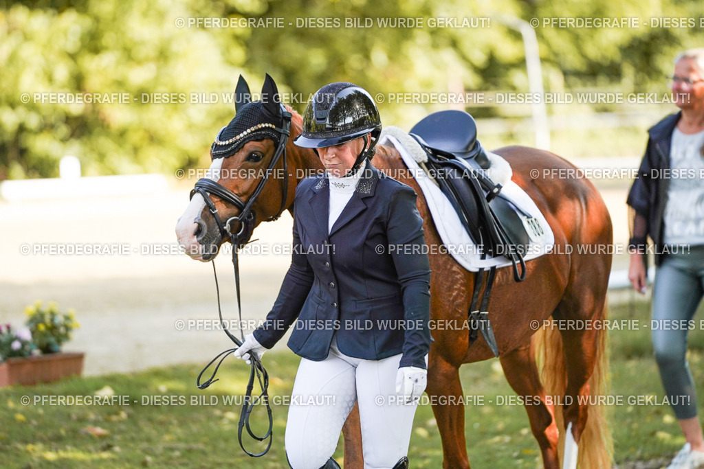 DSC06685 | Pferdegrafie