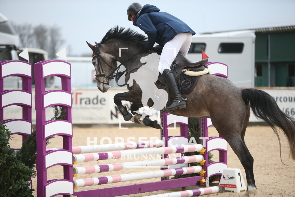 AS8V0574 | Willkommen bei Brunnmayr - Design & Fotografie – Ihrem Spezialisten für Reitturniere und Pferdeveranstaltungen in Oberösterreich, Salzburg und Bayern! Seit über 17 Jahren sind wir leidenschaftlich dabei.