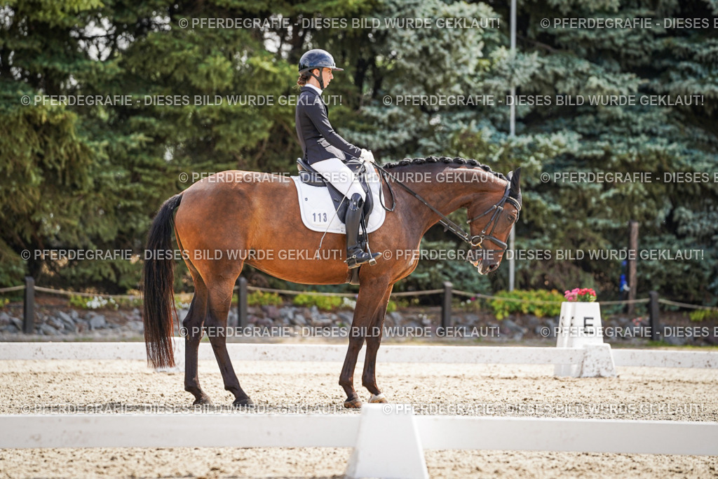 DSC08661 | Pferdegrafie