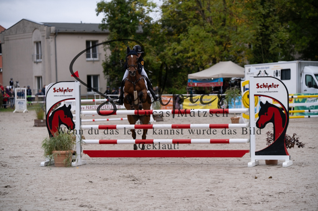 A7V09005 | Pferdefotograf