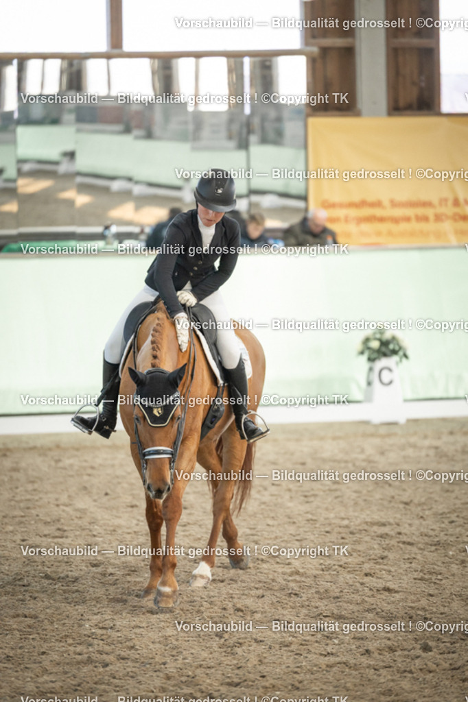 _D5A3330 | Emotionale Pferde- & People-Fotografie rund um Heidelberg, Leimen & Umgebung. Natürliche Fotos von Pferd, Mensch & Familie. Jetzt Termin sichern!