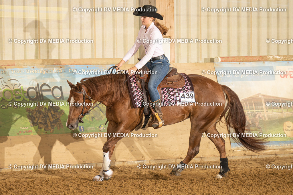 LAU00620 | dv-media-shop - Realisiert mit Pictrs.com