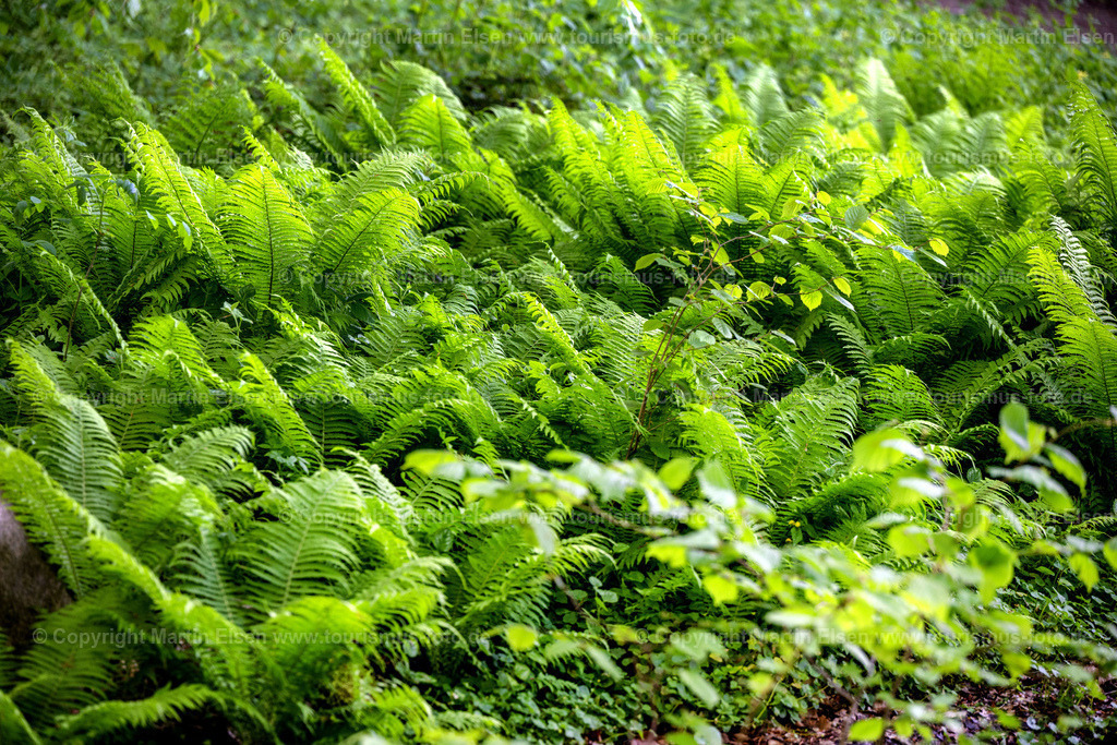 Agathenburg Schloss_ELS_2688130523 | Agathenburger Schloss - Realisiert mit Pictrs.com