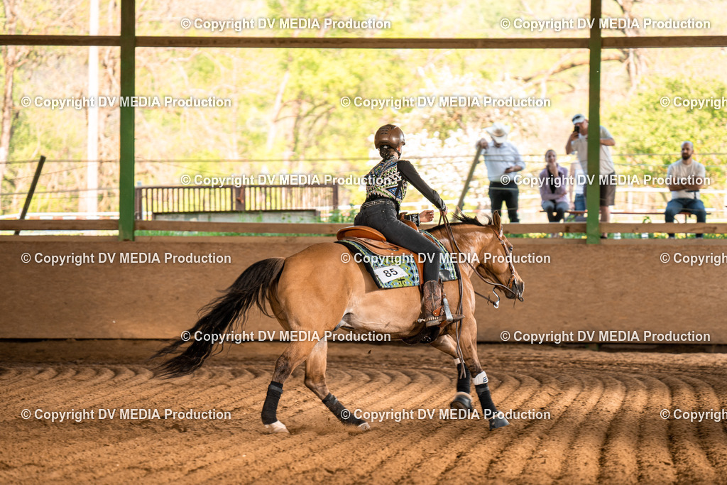 Balingen Tag 5-1067 | dv-media-shop - Realisiert mit Pictrs.com