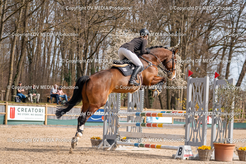 Kranichstein Tag 1-729 | dv-media-shop - Realisiert mit Pictrs.com