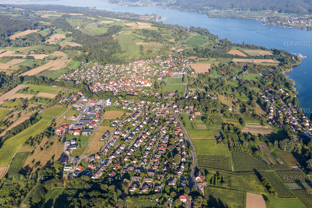 Luftbild: Fluss-/Bodensee-Uferbereichen des Rhein im Ortsteil Stiegen in Öhningen im Bundesland Baden-Württemberg in Deutschland. Foto: IMG_094321.jpg vom 27.08.2016 durch Werner Riehm/FLY-FOTO.de
