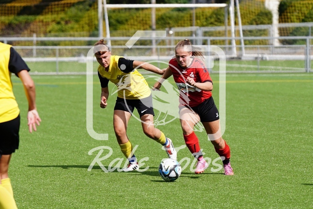 SON08939 | rabefotos