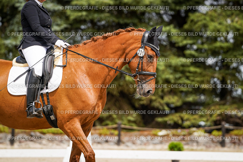 DSC03895 | Pferdegrafie